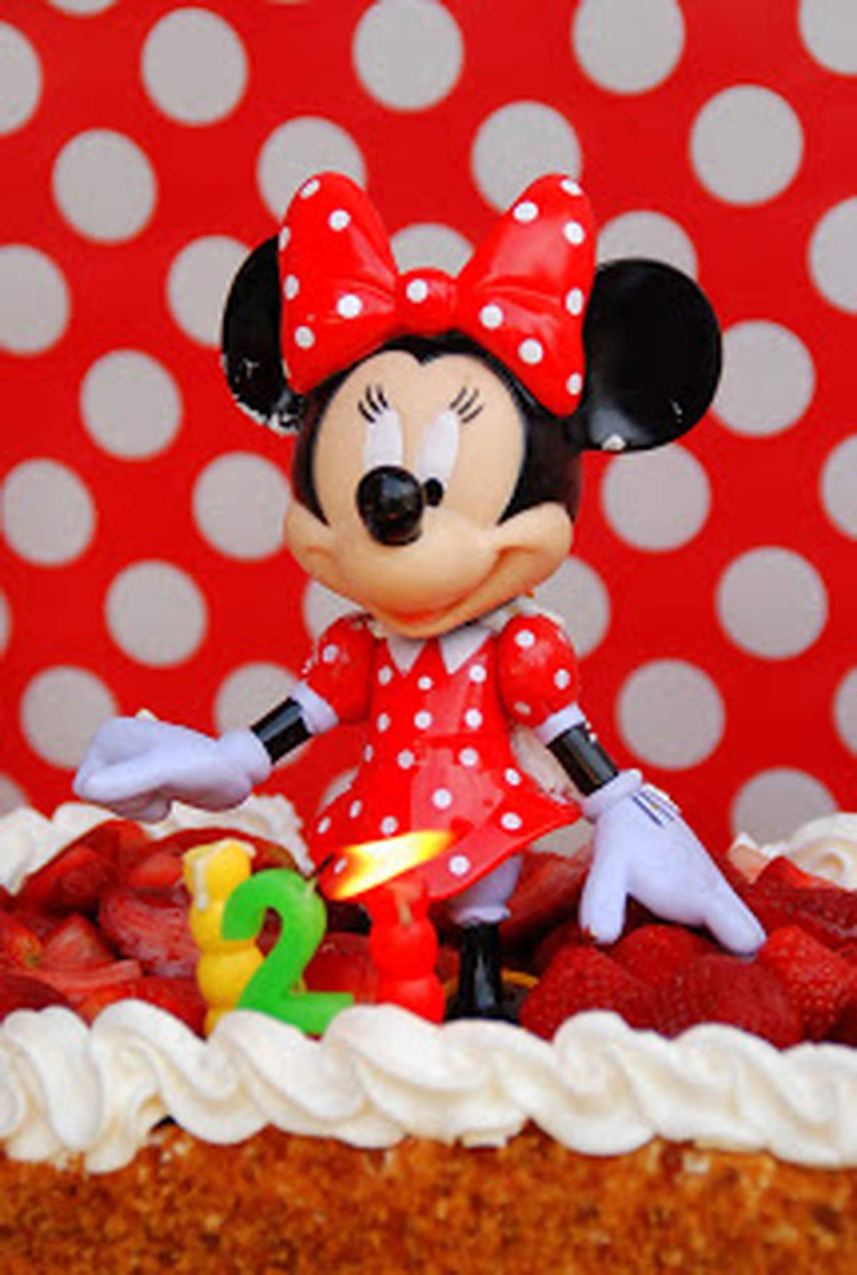 Vida's 2nd Birthday - Mickey Mouse Clubhouse or Minnie Mouse