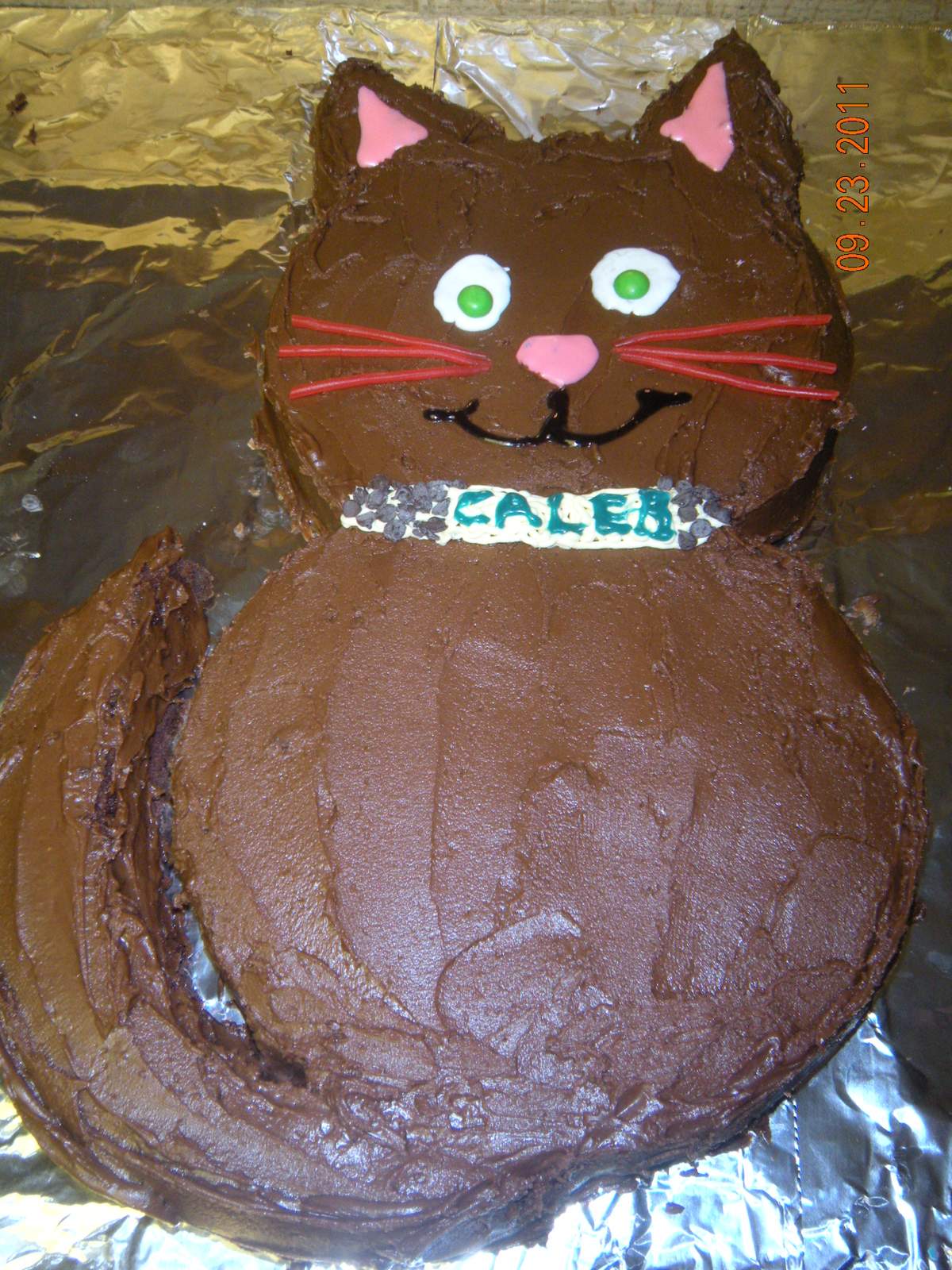 5th Birthday - Kitty Cat Party