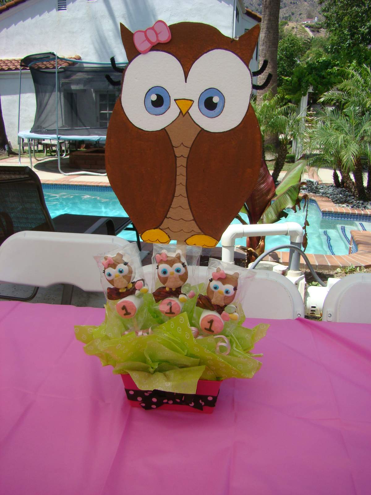 Look whoos turning one - Owl
