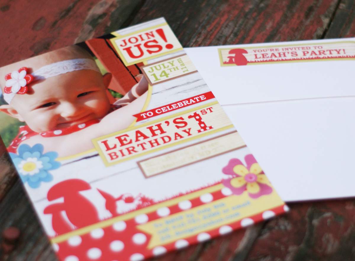 Garden Gnome 1st Birthday Party - Garden Gnomes