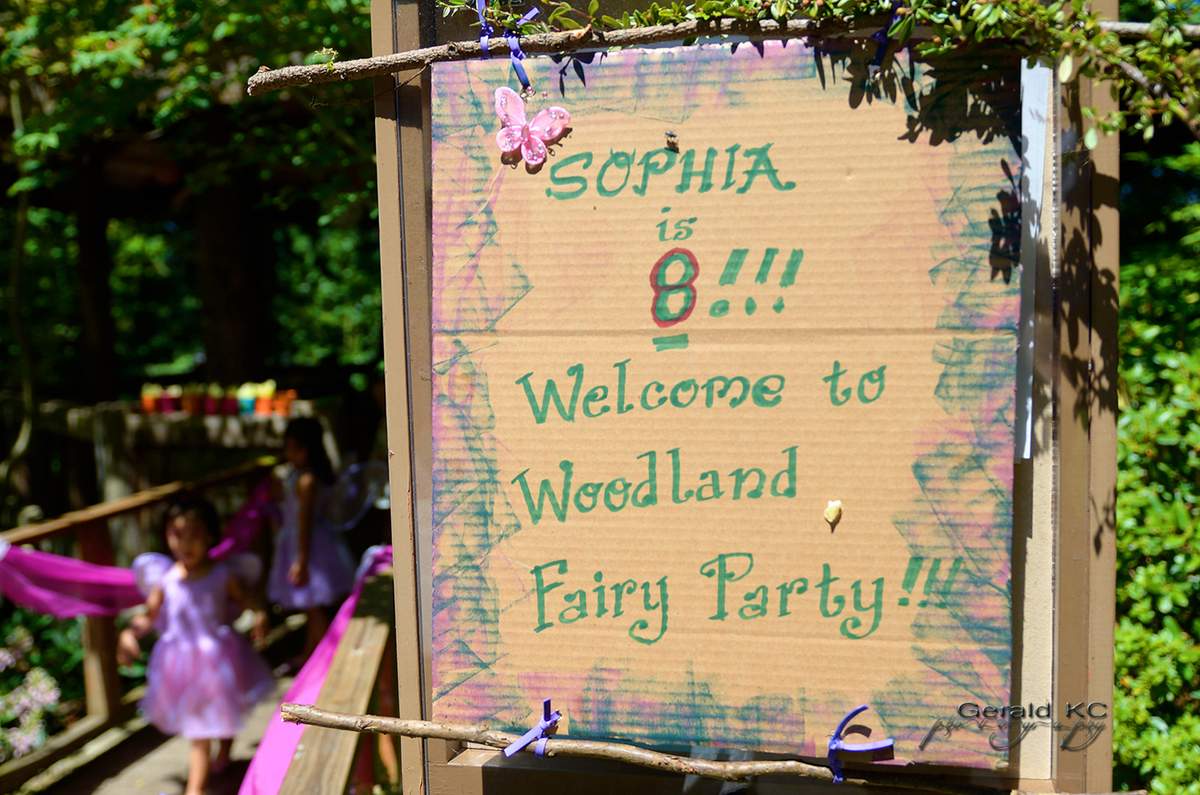 Last year in the Enchanted World  - Enchanted Forest/Woodland Fairy