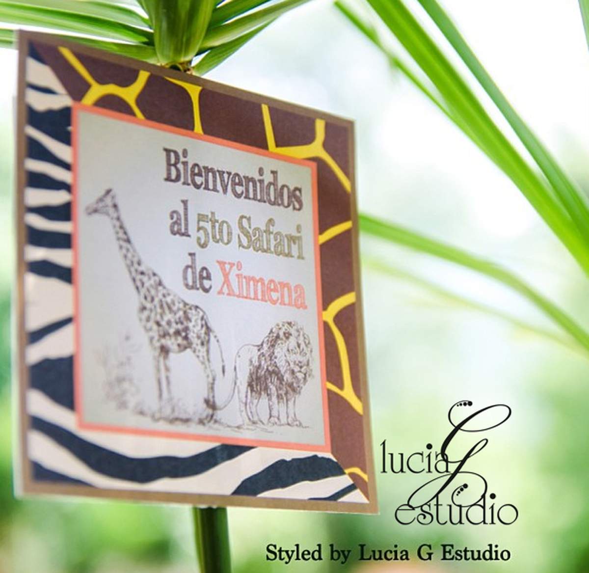 Ximena's Safari Birthday Party - Safari