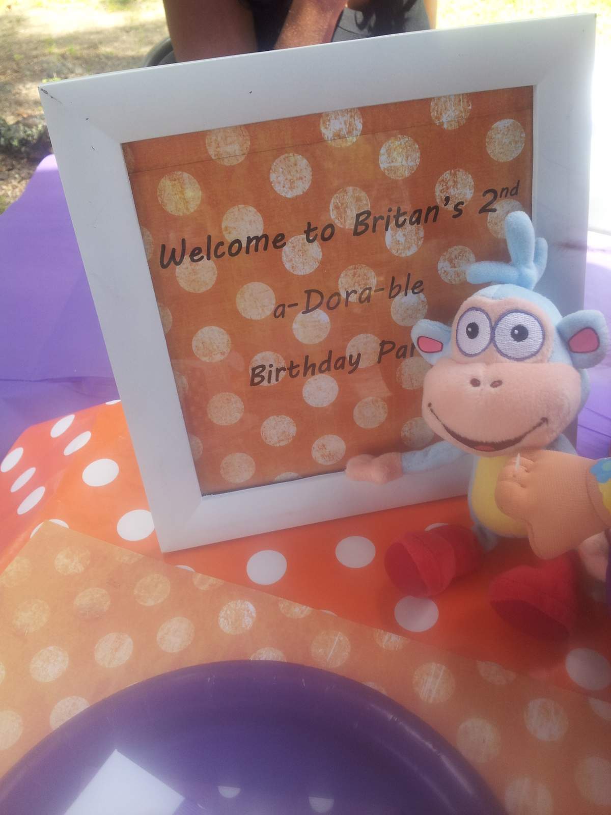 2nd a-DORA-ble Birthday Celebration - Dora the Explorer