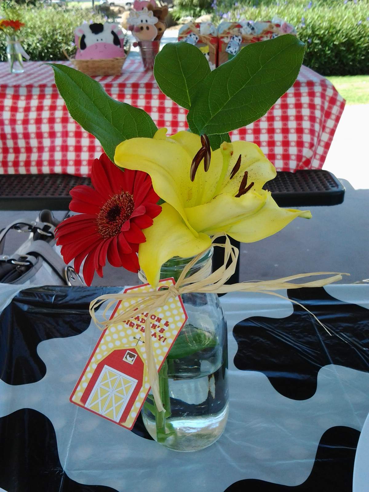 The Twins Turn Two! - Farm or Barnyard Bash