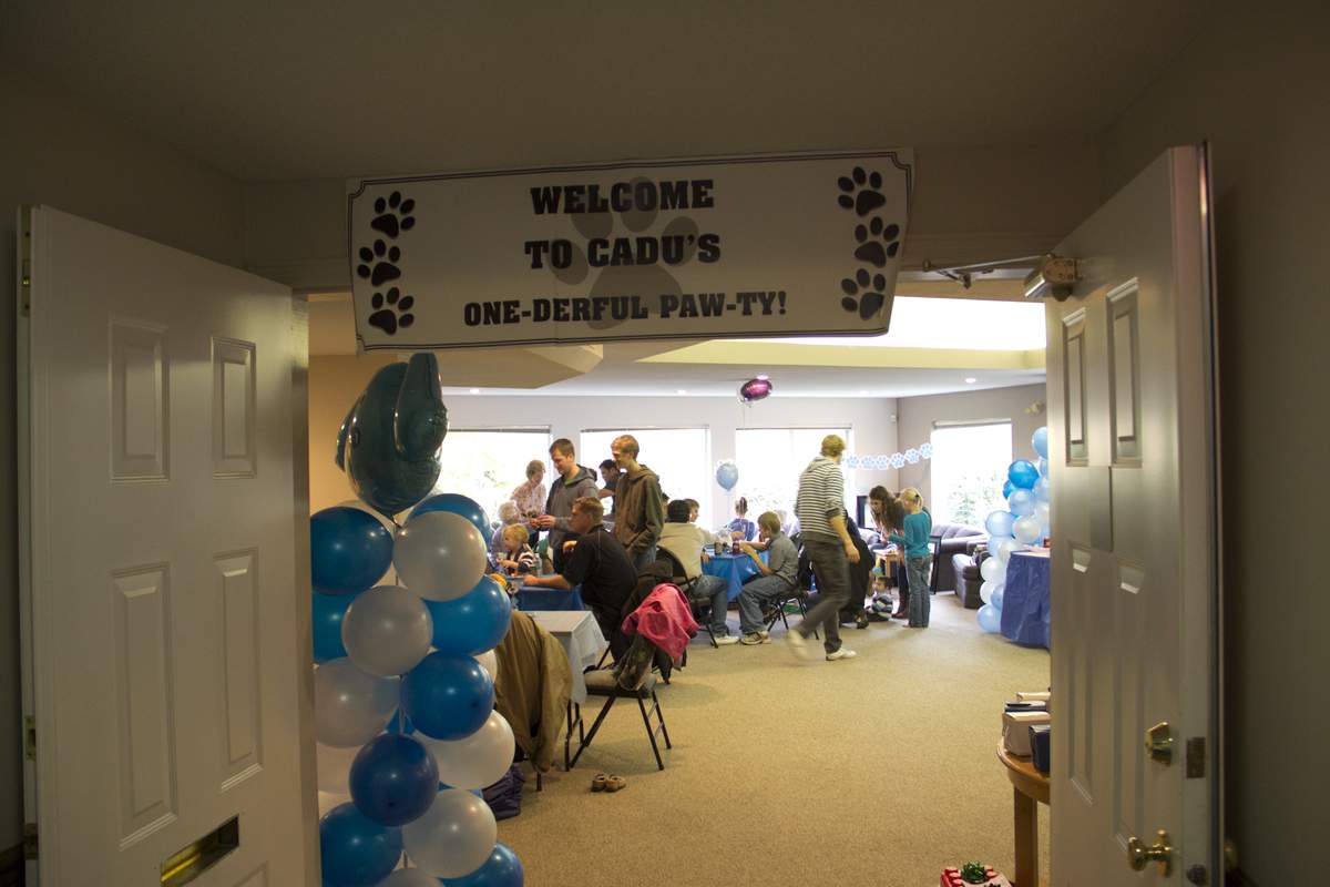 Cadu's 1st Birthday - Puppies, Dogs