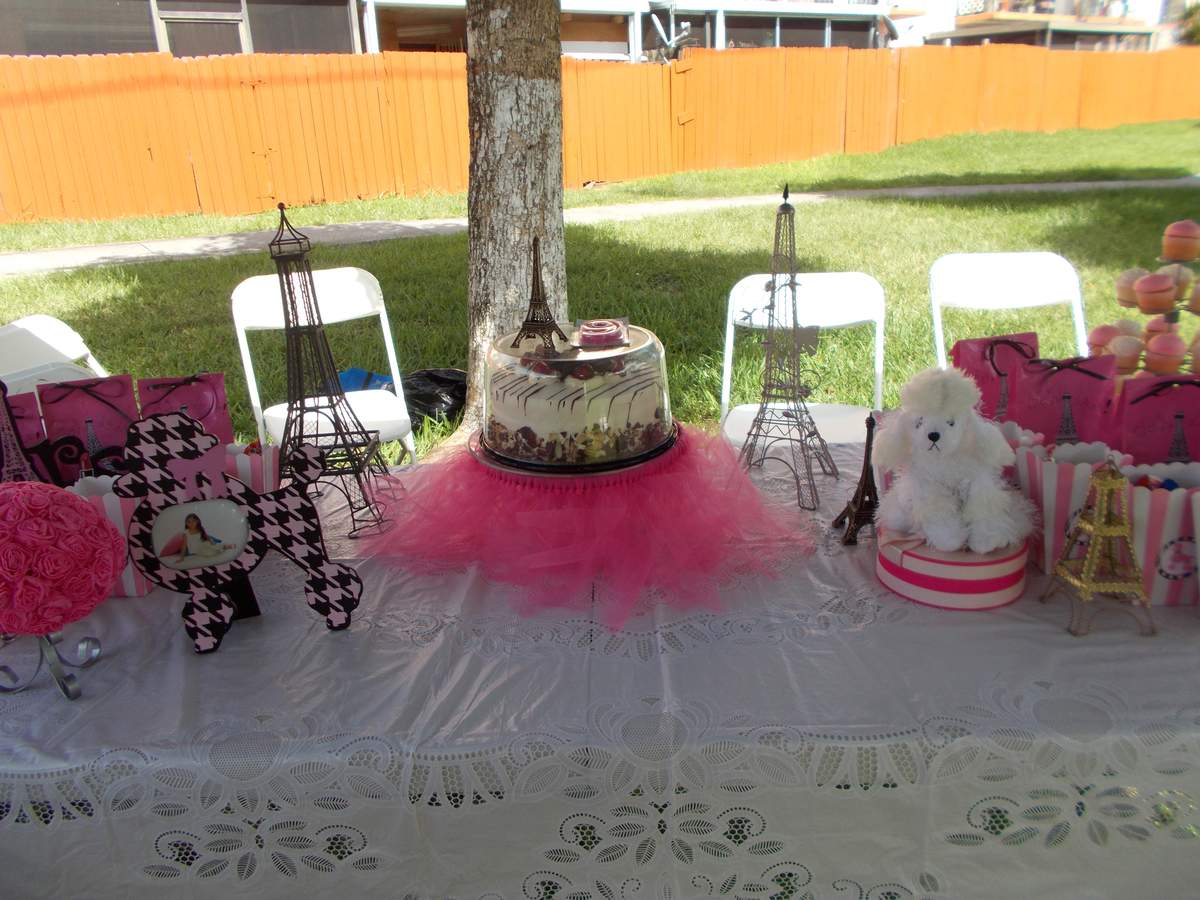 Kailany's 9th Birthday - Poodle & Paris