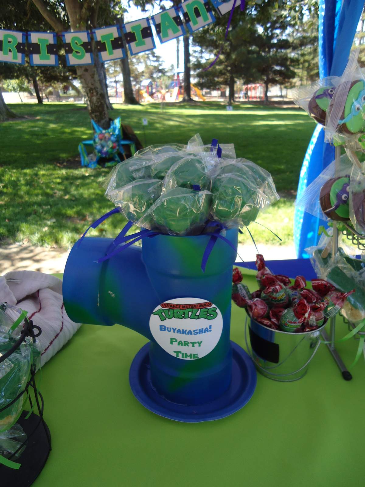 TMNT Teenage Mutant Ninja Turtle Birthday Party Ideas Photo 11 Of 29 TMNT Teenage Mutant Ninja Turtle Birthday Party Ideas Photo 11 Of 29