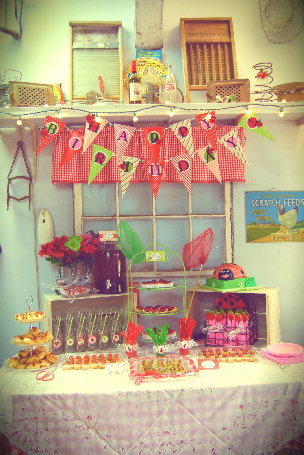 Elliana's 4th Ladybug Birthday - Farm Chic Ladybug