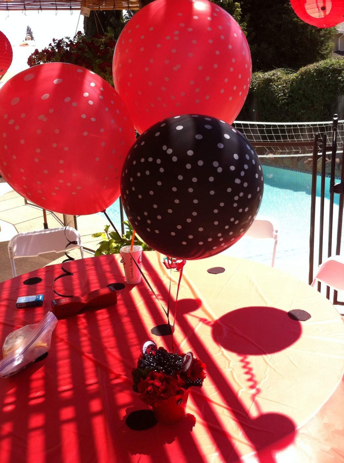 My little ladybug is turning one - Ladybugs