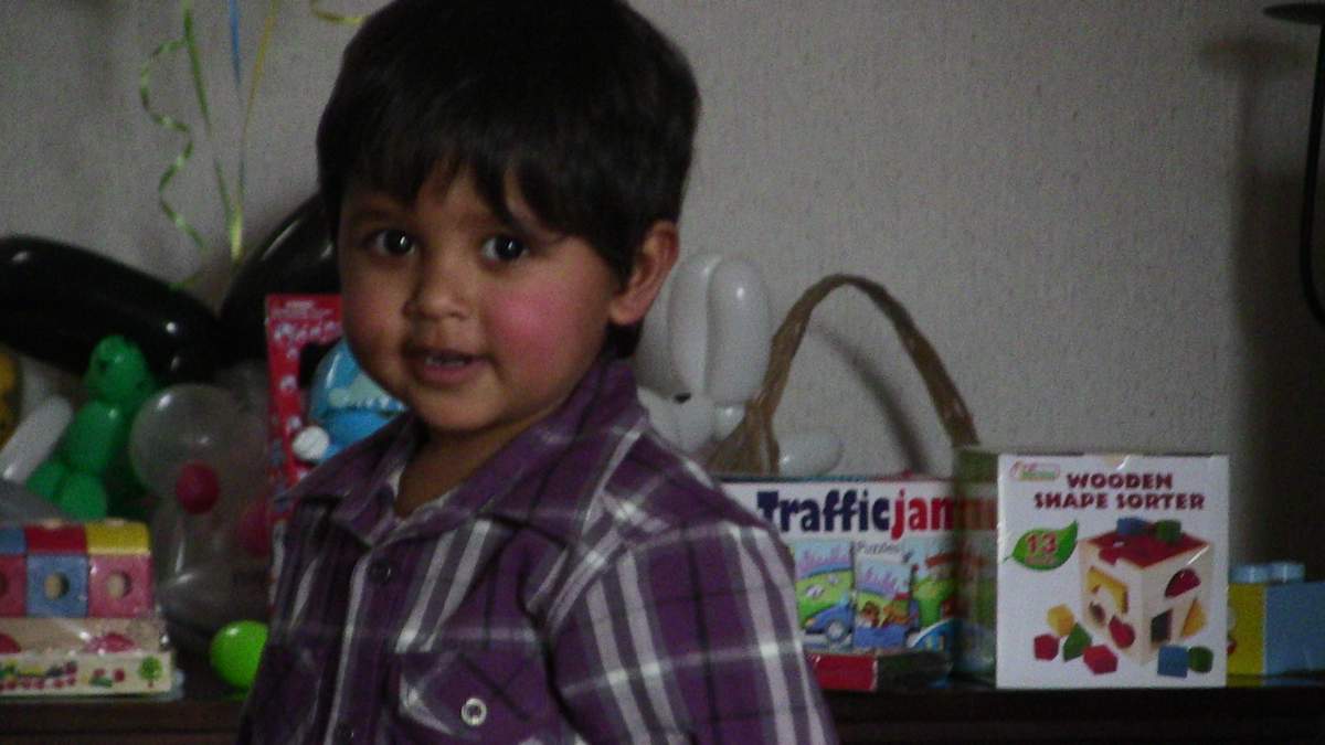 Devesh's 2nd Birthday Party - Farm, Barnyard