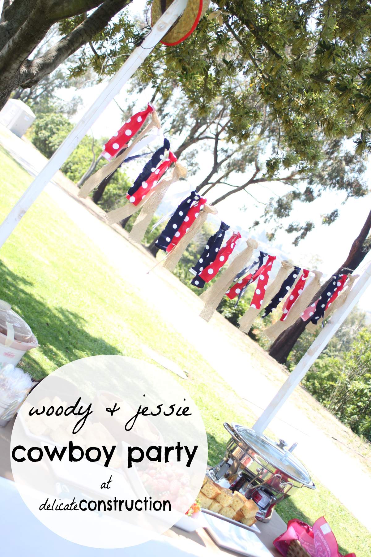 1st & 3rd Birthday Fun - Toy Story Cowboy & Cowgirl Party