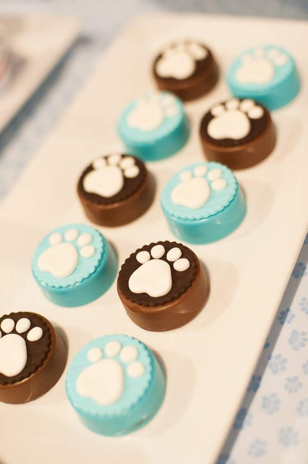 Polka Dot Puppy Paw-ty - Puppy Theme