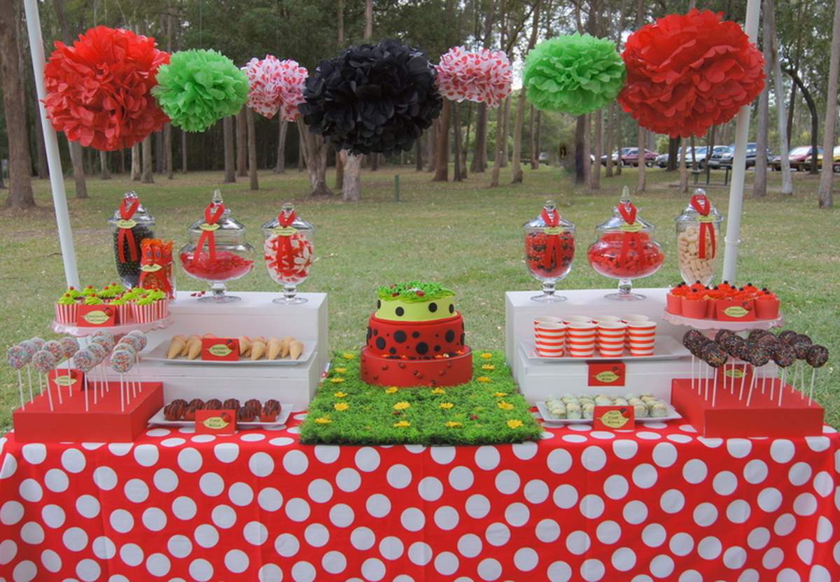 GIGI TURNS 4! - Little Ladybug