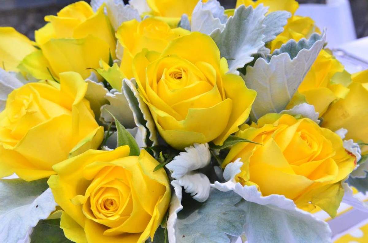 Yellow and Gray with Birds Baby Shower Party Ideas Photo 1 of 15 Catch My Party