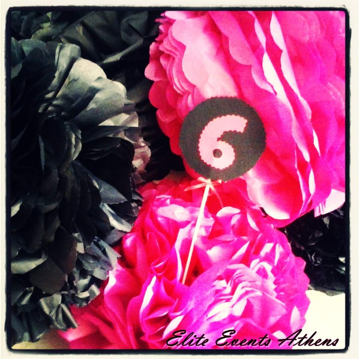 Rock Skullette Princess Party - Rock Princess Party - Black Pink White Skulls