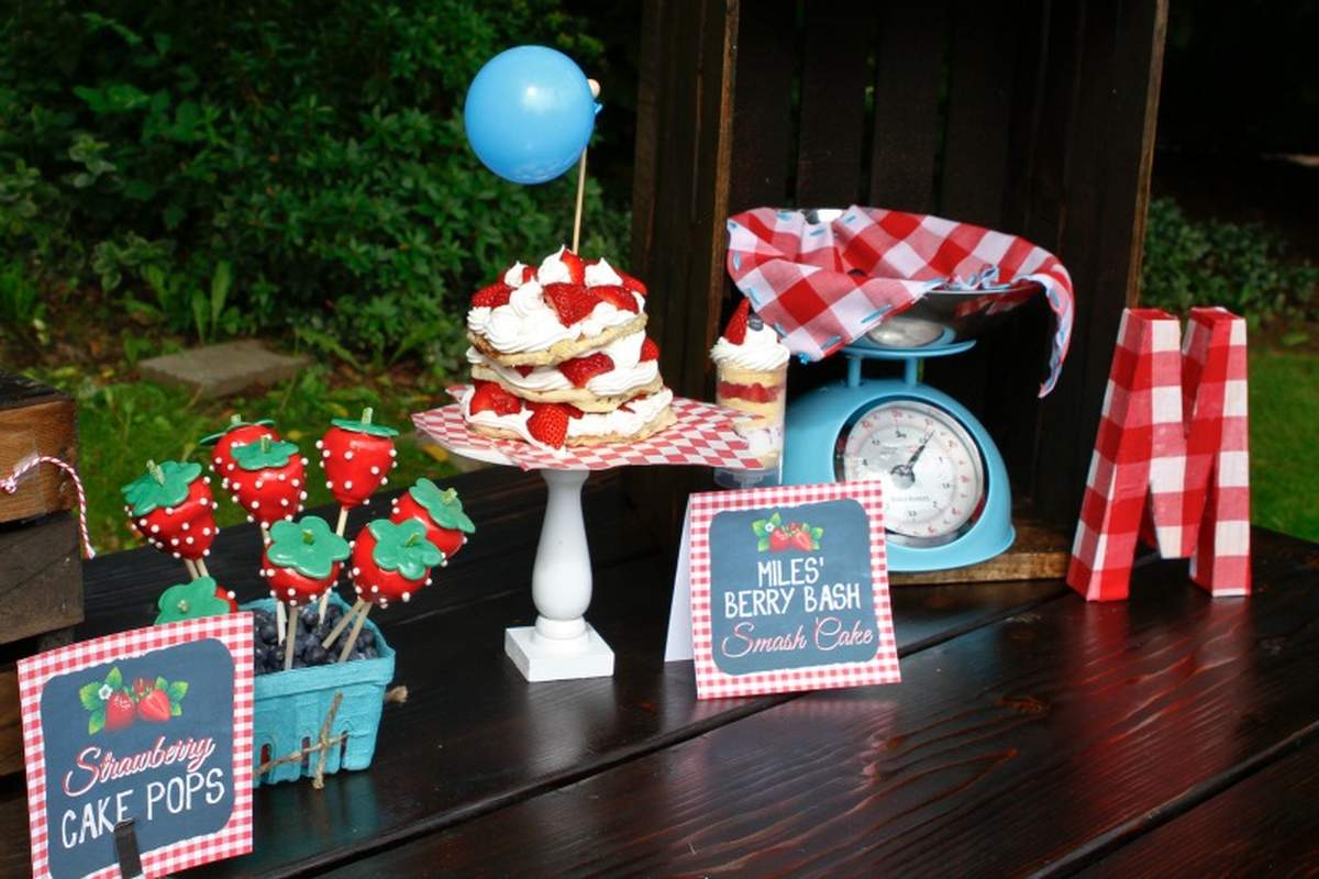 Berry Bash Birthday Party Ideas Photo 7 of 58 Catch My Party