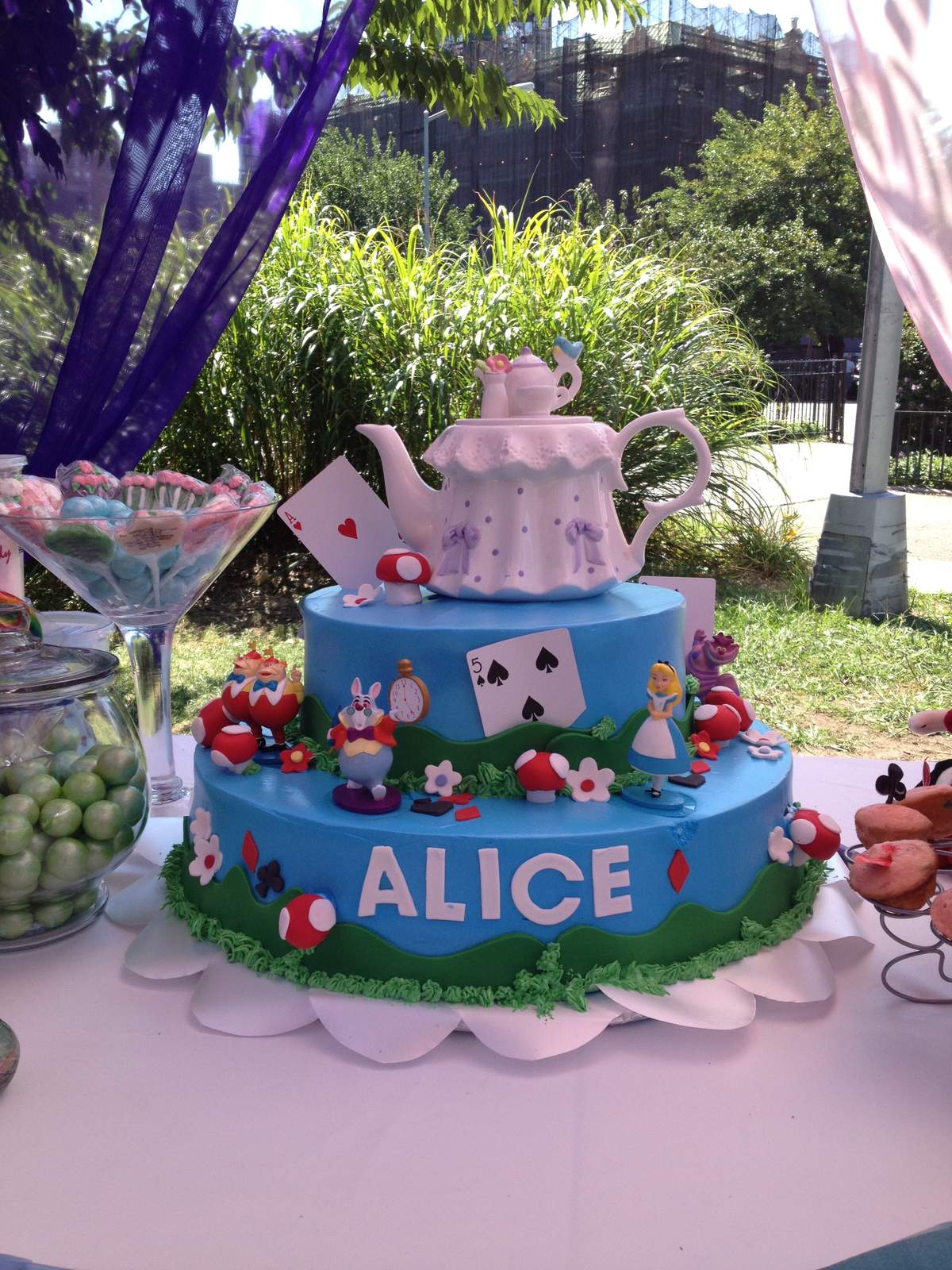 This Way...That Way!! - Alice in Wonderland