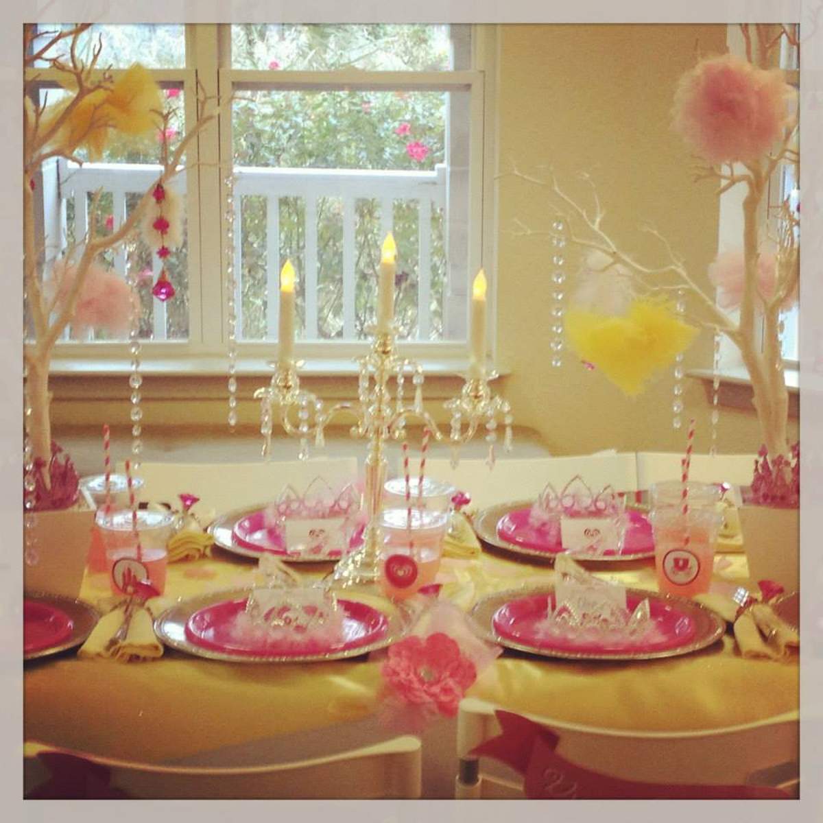 Izadora's 5th Royal Princess Party - Princess Birthday Party 