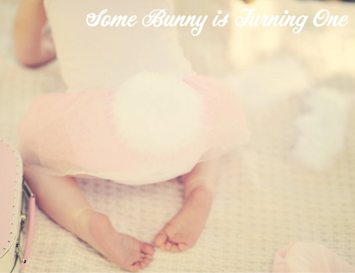 Some Bunny is One - None
