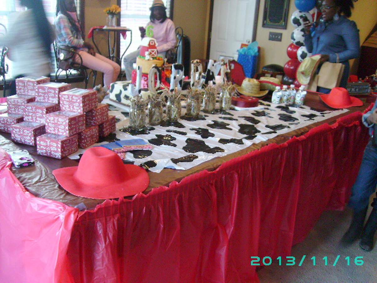 Jordan's Farm/Western Birthday Party - Farm, Barnyard