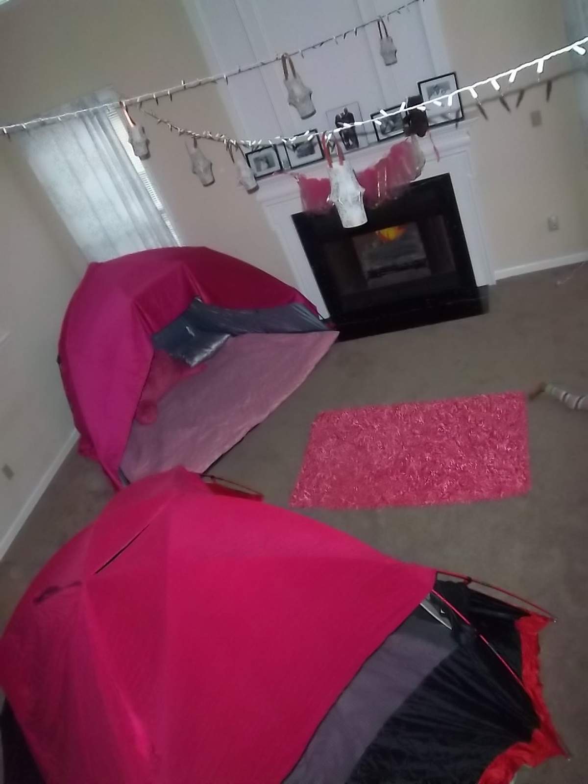 Camp Sydney - Camping