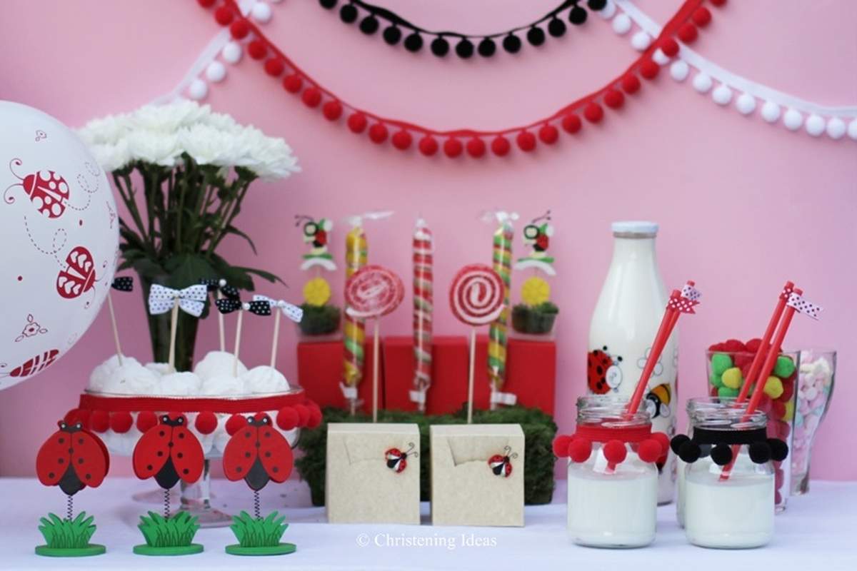Lady Bug Christening - Lady Bug Christening