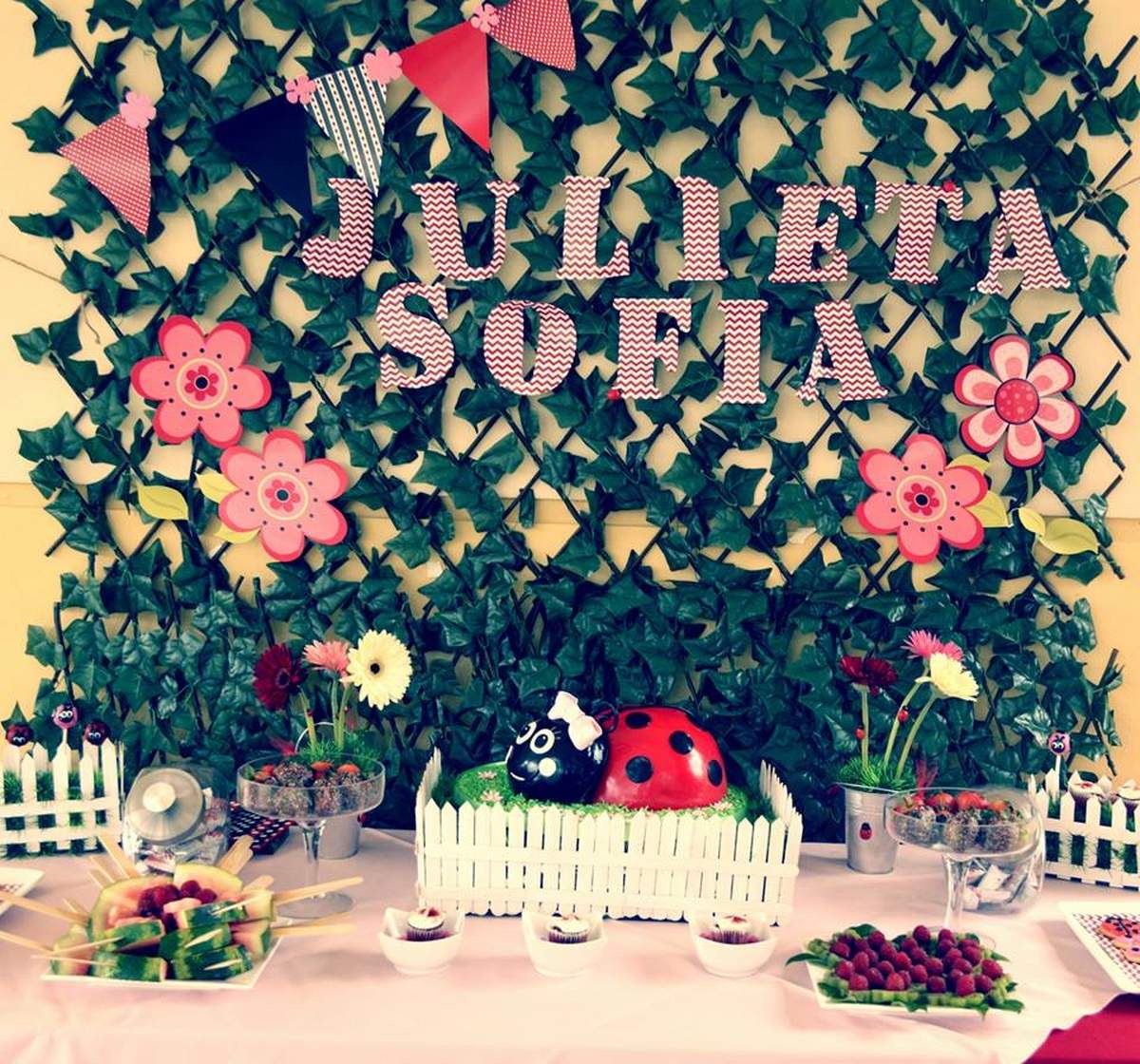 Julieta lil ladybug - None