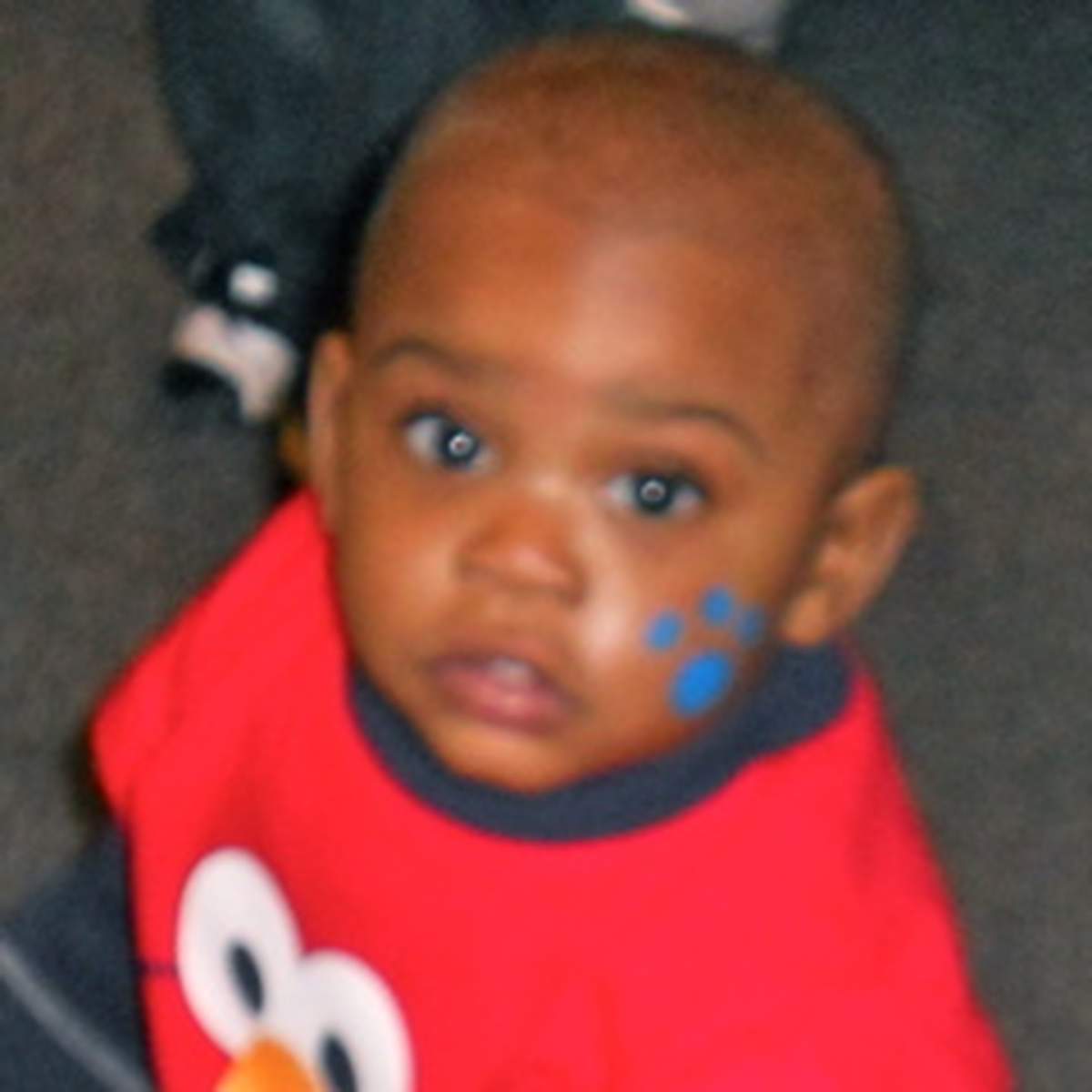 Evan's 1st Birthday - Elmo & Sesame Street