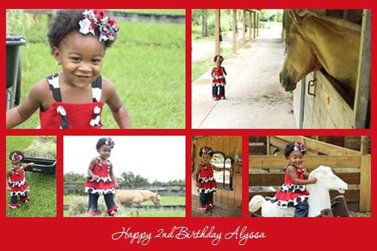 Oink Cluck Baa Moo, Alyssa is turning 2! - Farm, Barnyard