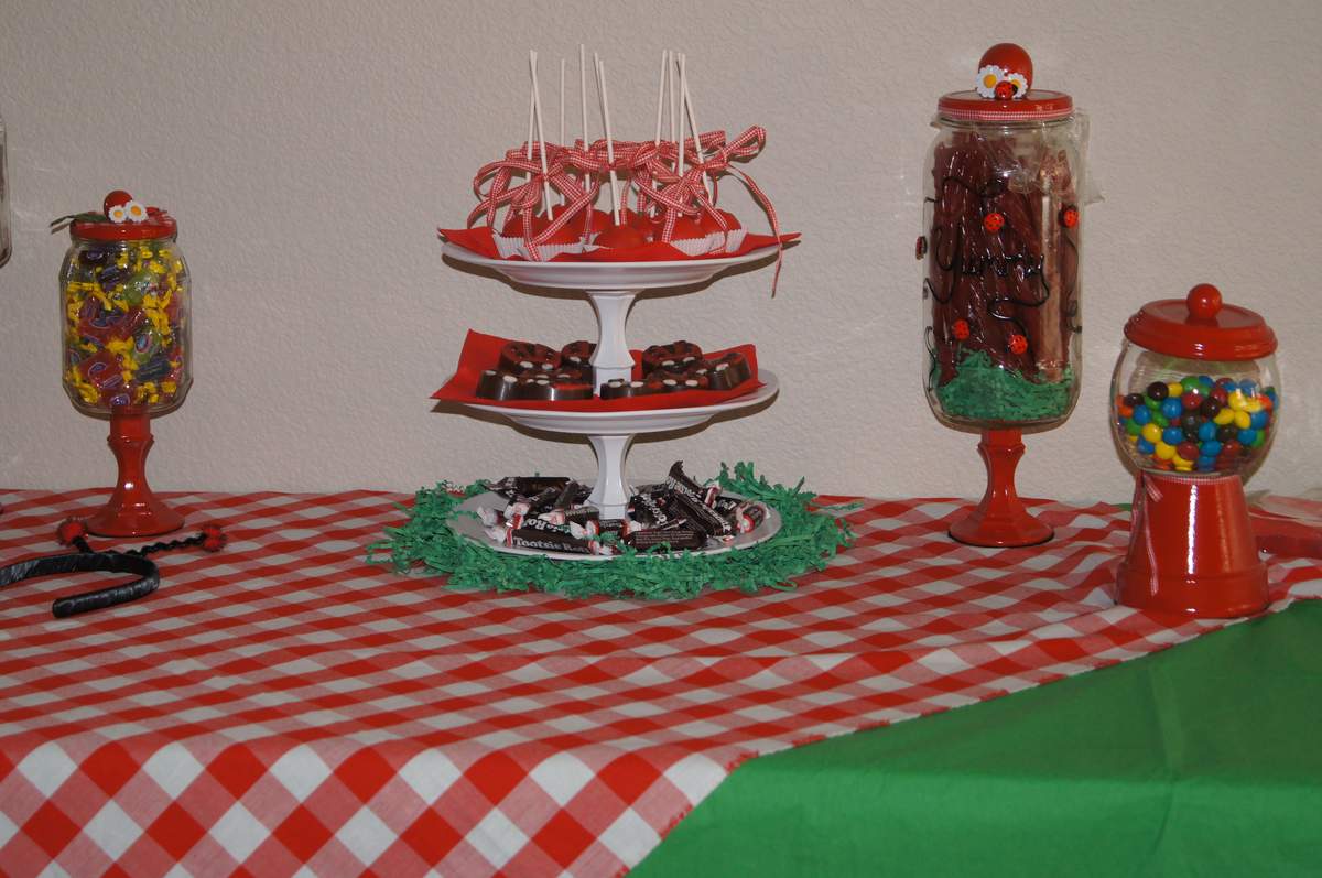 Ladybug picnic - Ladybug