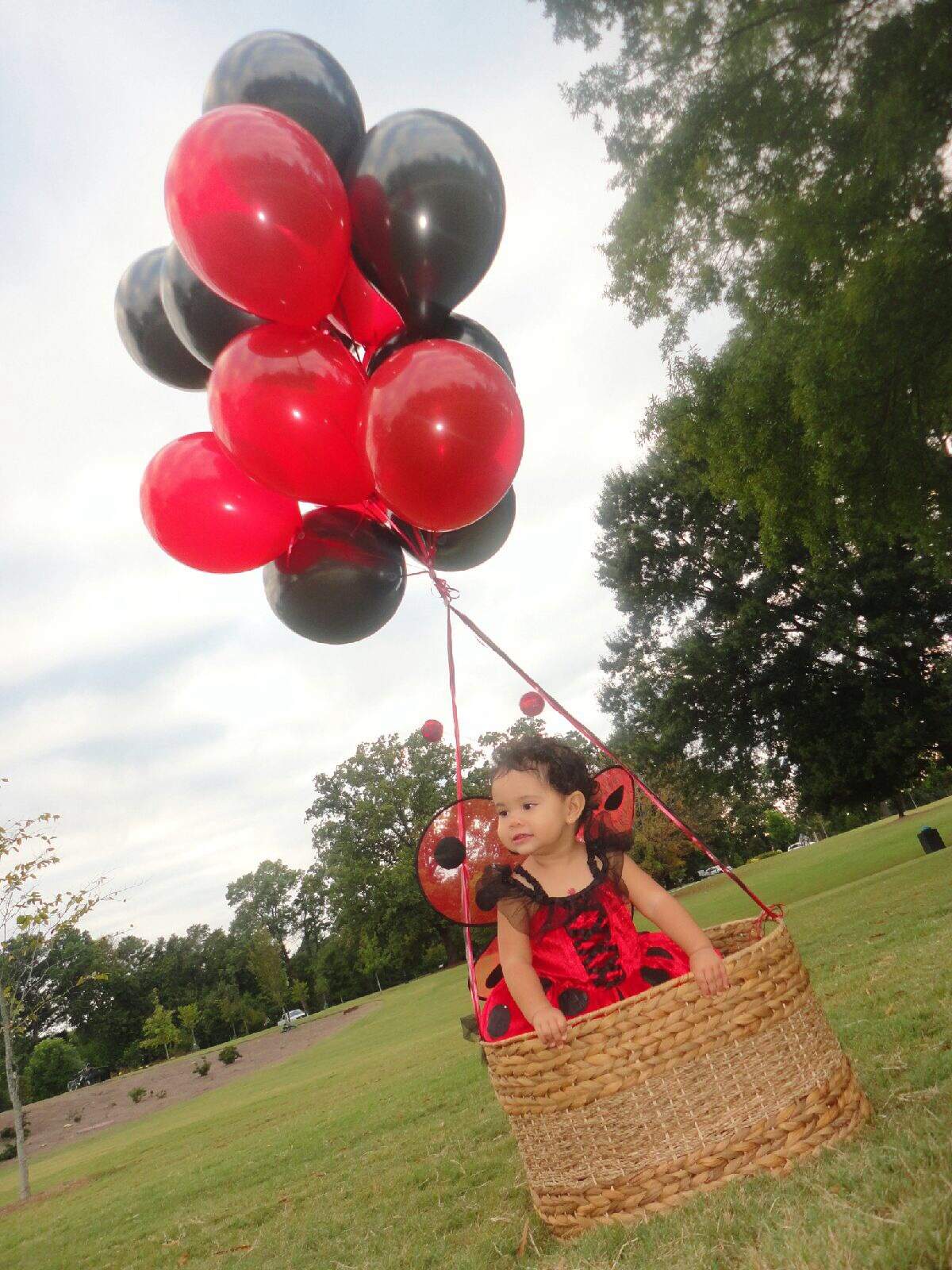 Zara's 1st Birthday - Ladybug