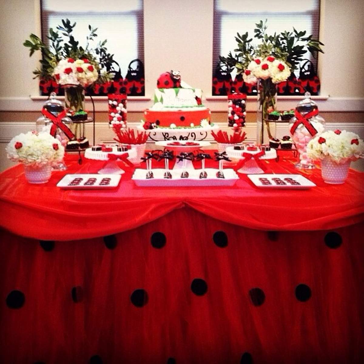 Julianne's 1st birthday  - Ladybug Birthday Party