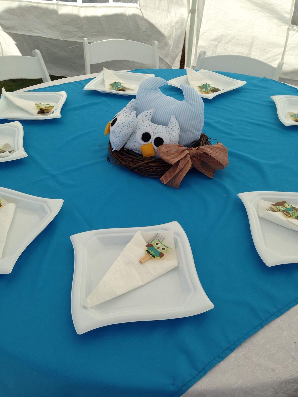 Owl Theme Baby Shower - Owl