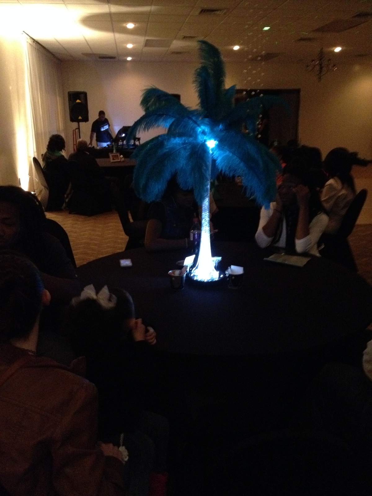 A Night in Paris - Sweet 16, 