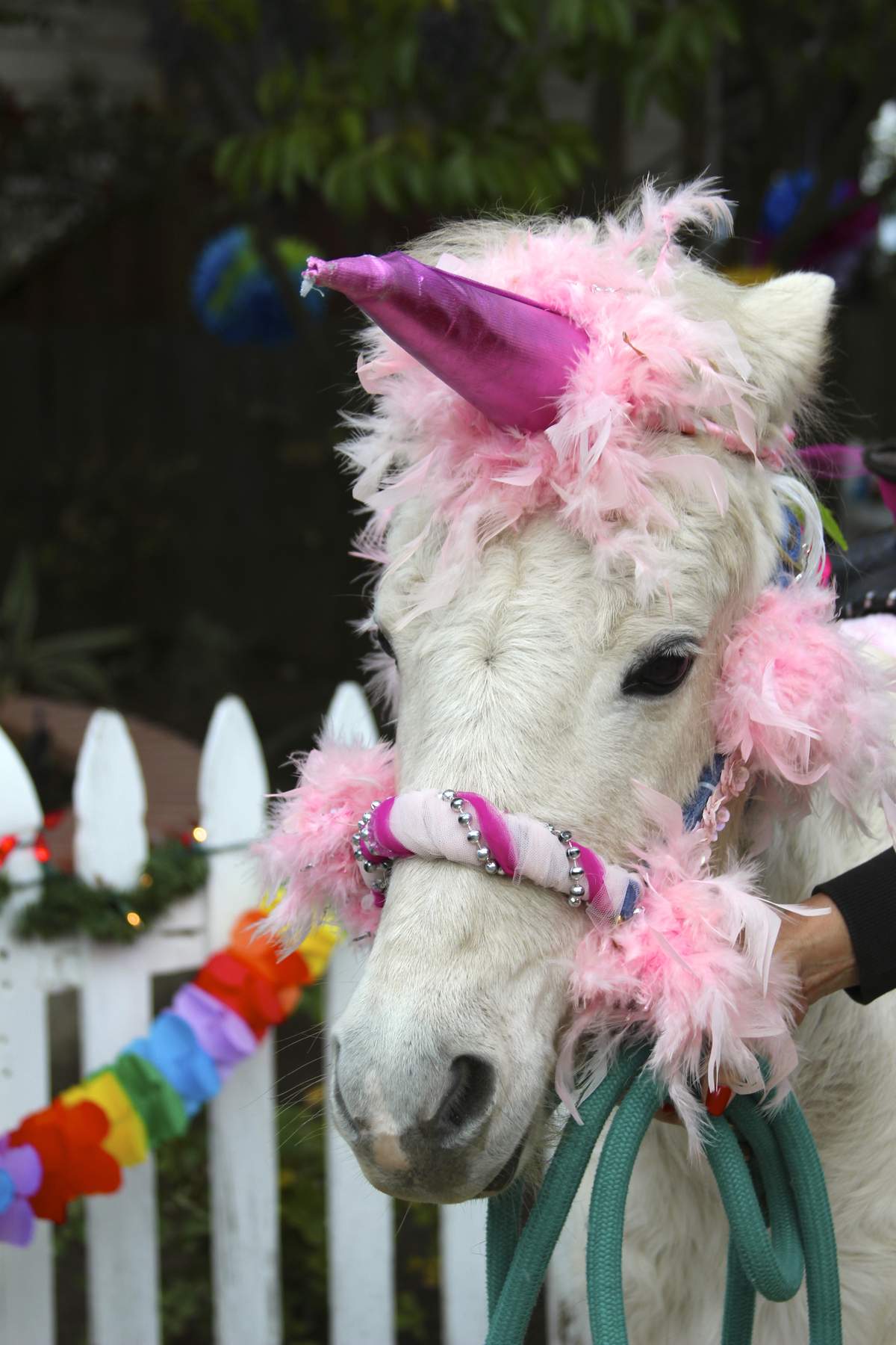 Mia's Third Birthday Party! - Rainbow Unicorn 