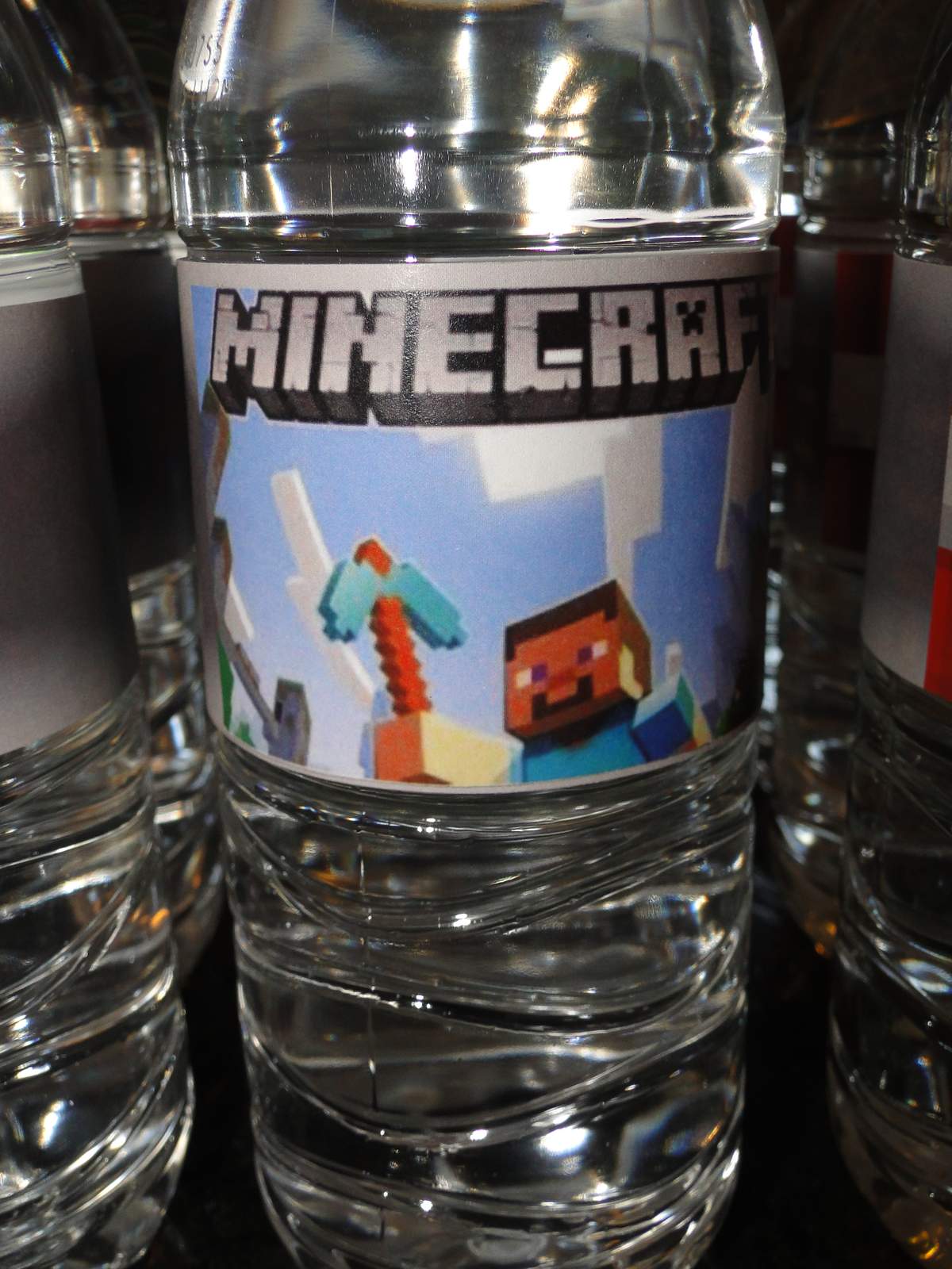 Minecraft Party - Minecraft