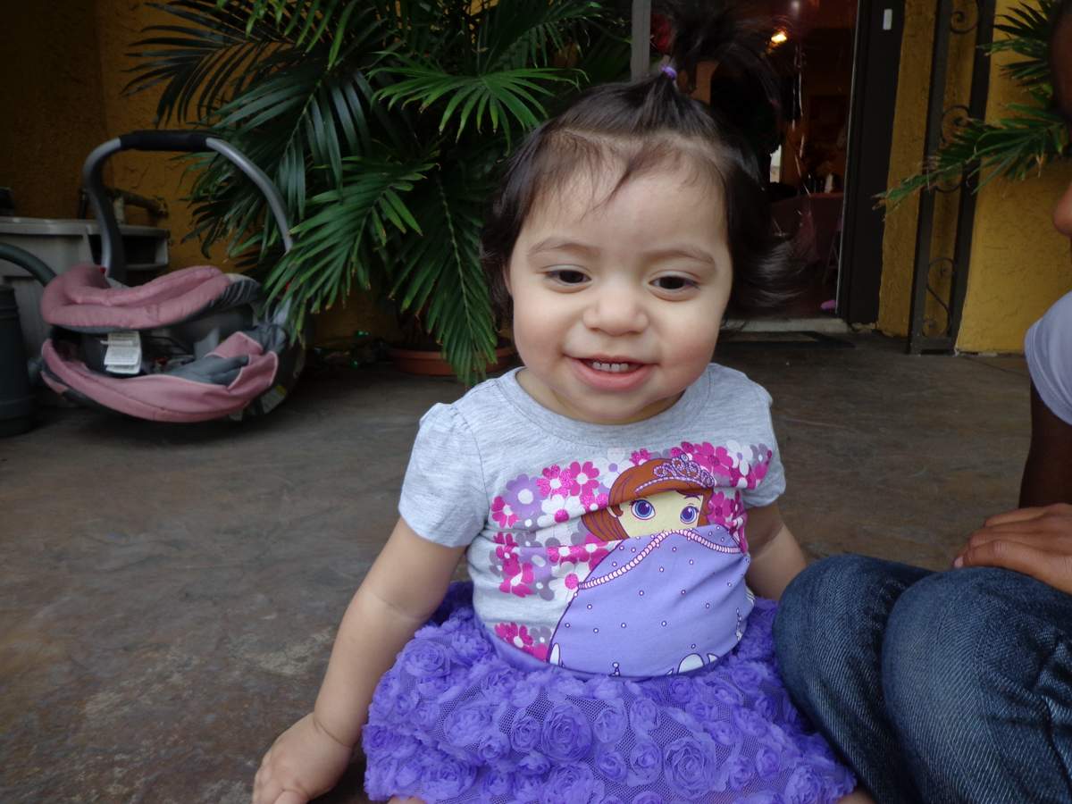 Sofia the first inspired party - Sofia the First
