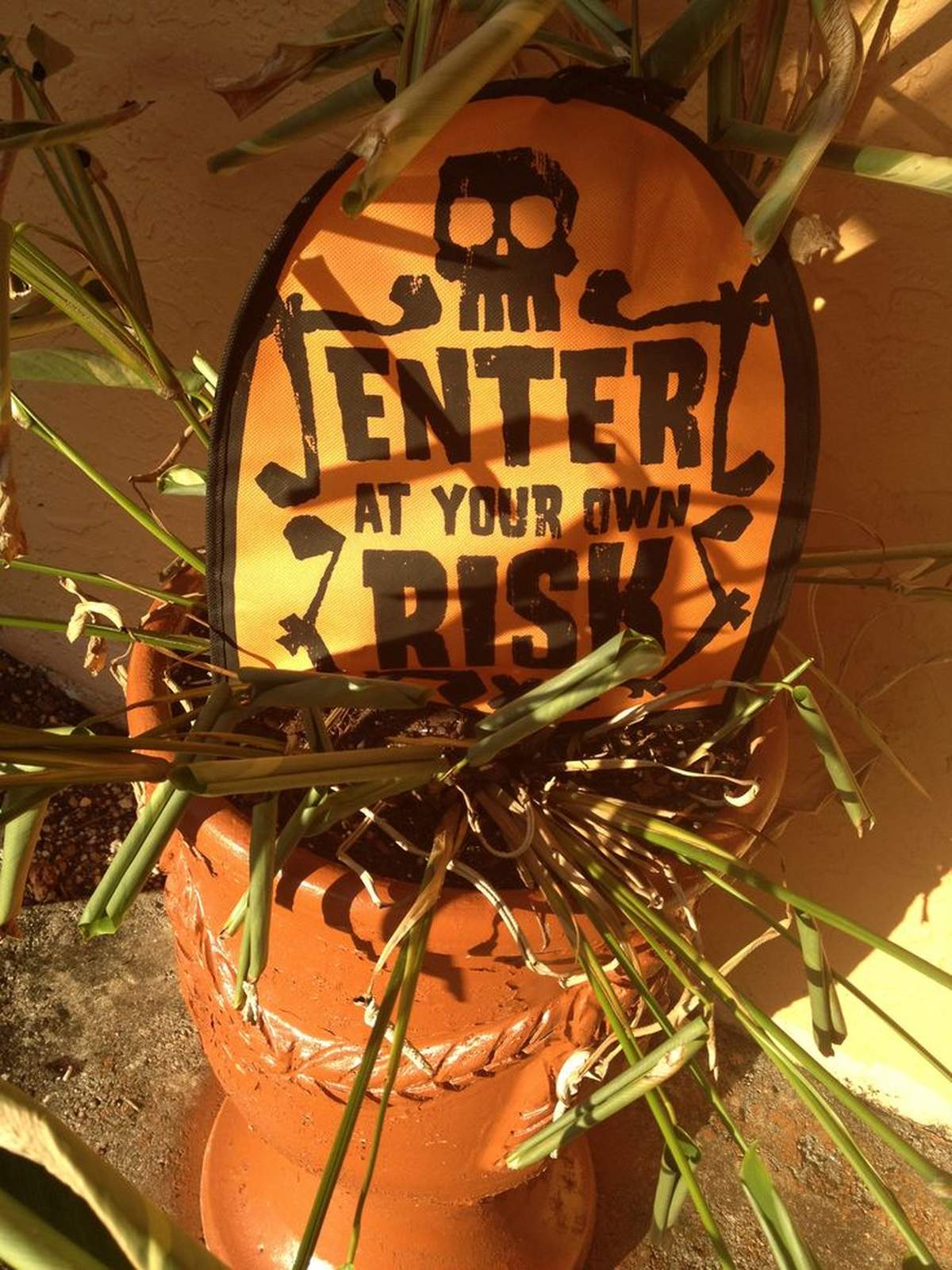 Happy Halloween! - None