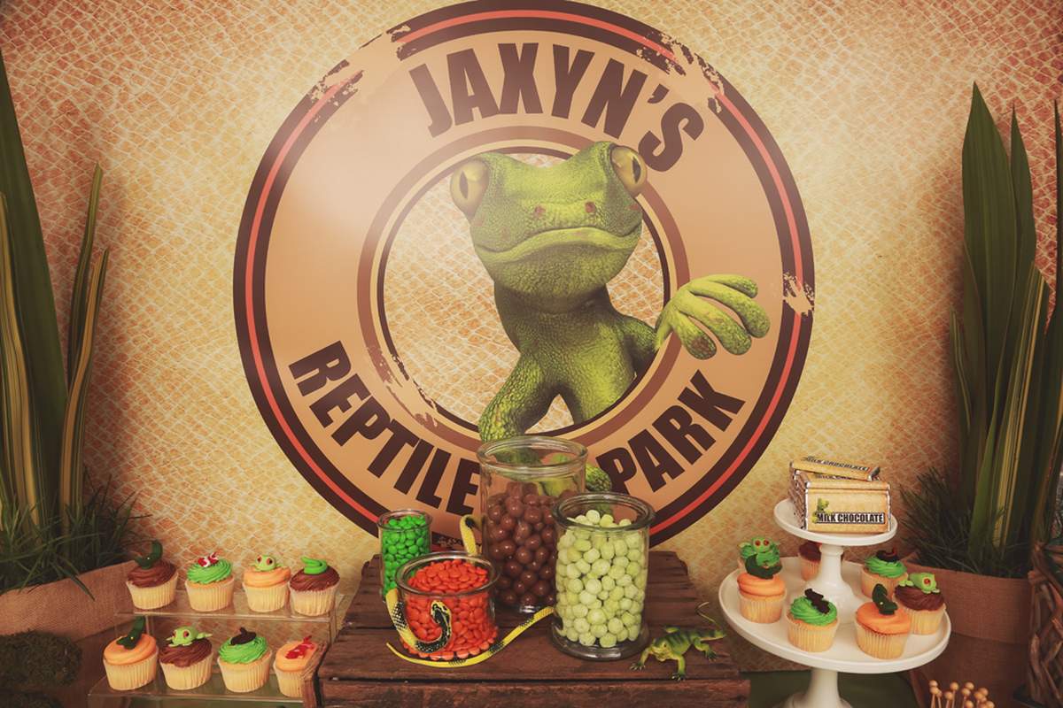 Reptiles Birthday Party Ideas Photo 1 of 24 Catch My Party