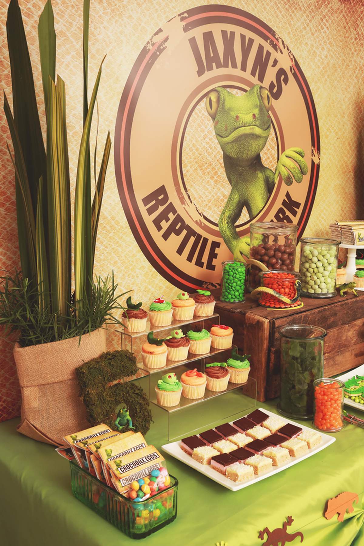 Reptiles Birthday Party Ideas Photo 1 of 24 Catch My Party