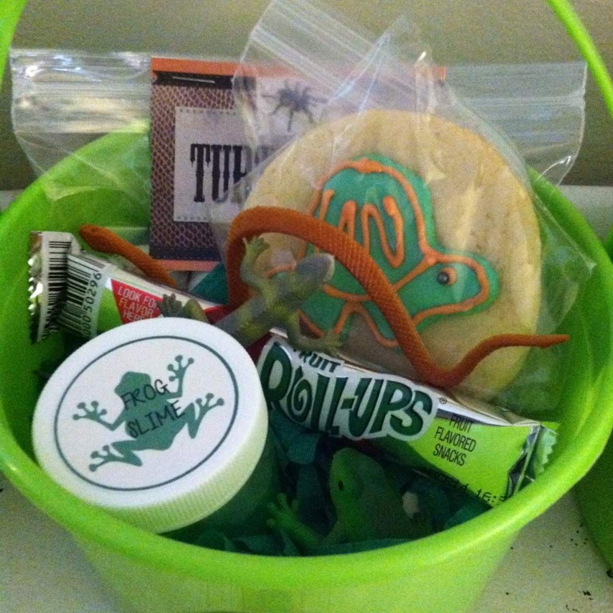 Reptiles Birthday Party Ideas Photo 6 of 16 Catch My Party