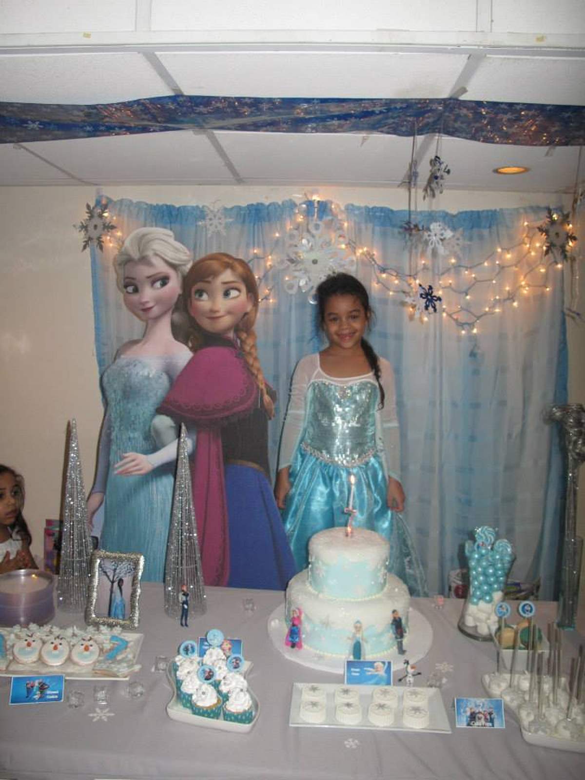 Sophia's Bday Party - Disney Frozen