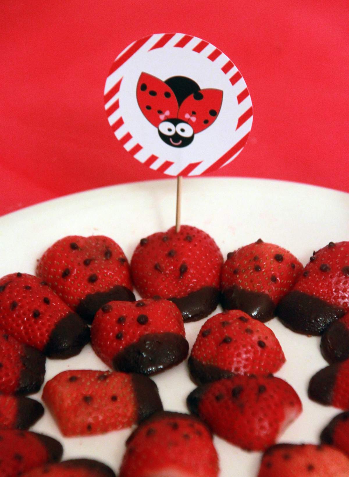 Ladybug Birthday Party Birthday Party Ideas Photo 3 of 77 Catch My