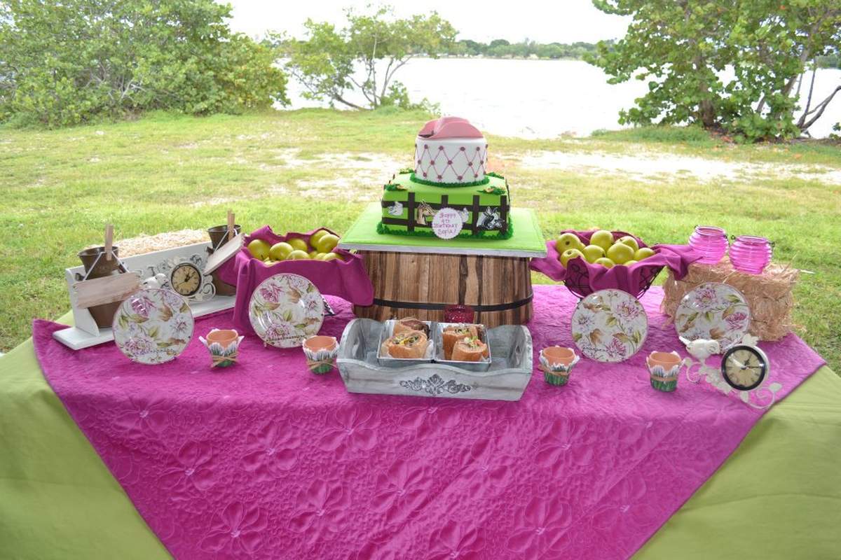 Sofia's Cowgirl Girly Farm Party - Cowgirl