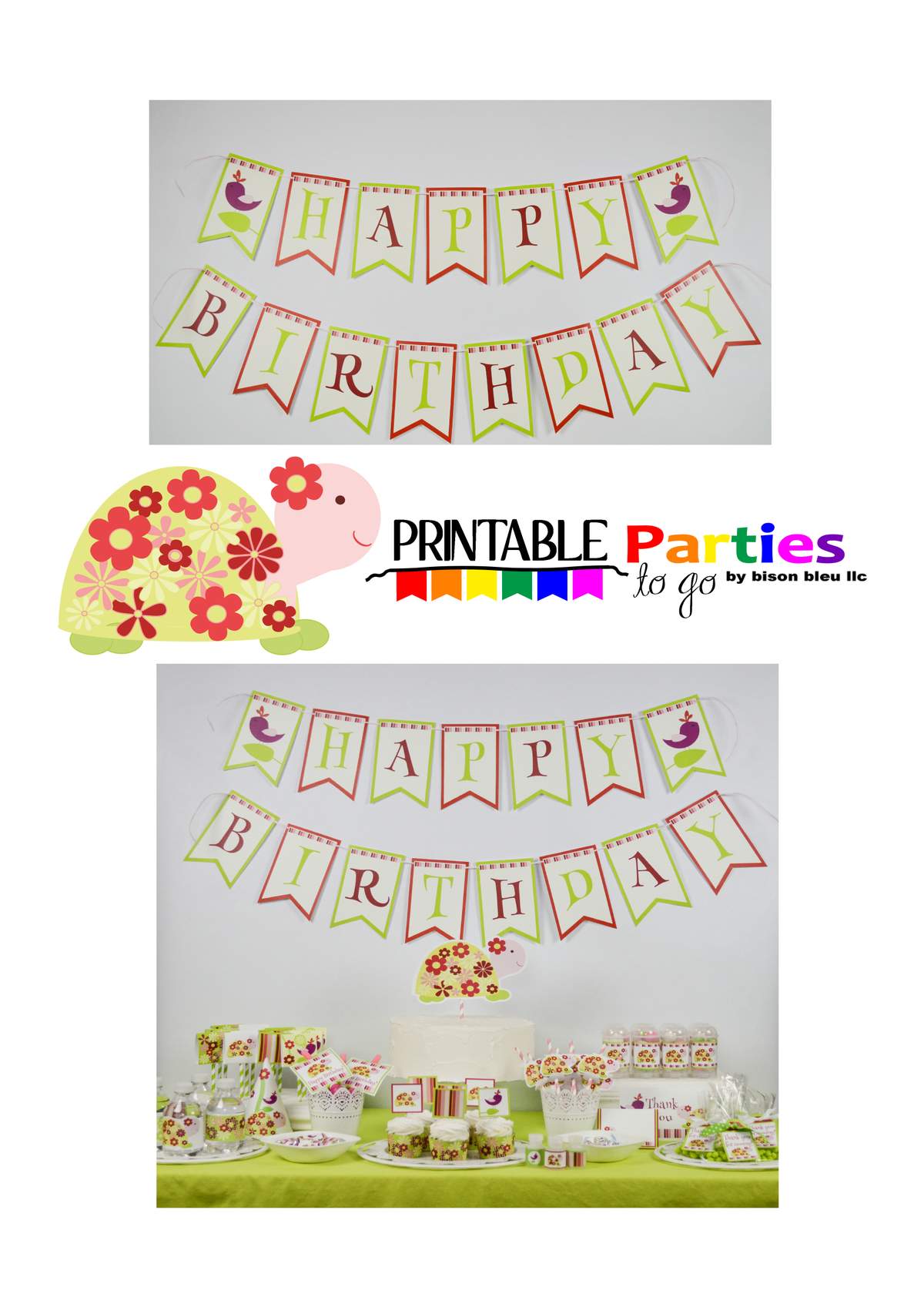 Once Upon a Turtle - Turtle Birthday Party