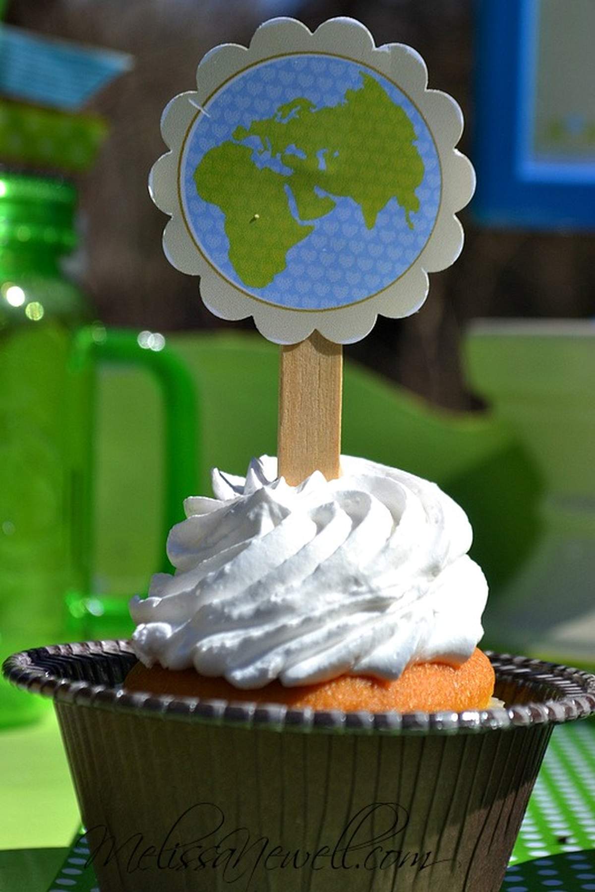 Earth Day Earth Day Party Ideas Photo 4 Of 15 Catch My Party
