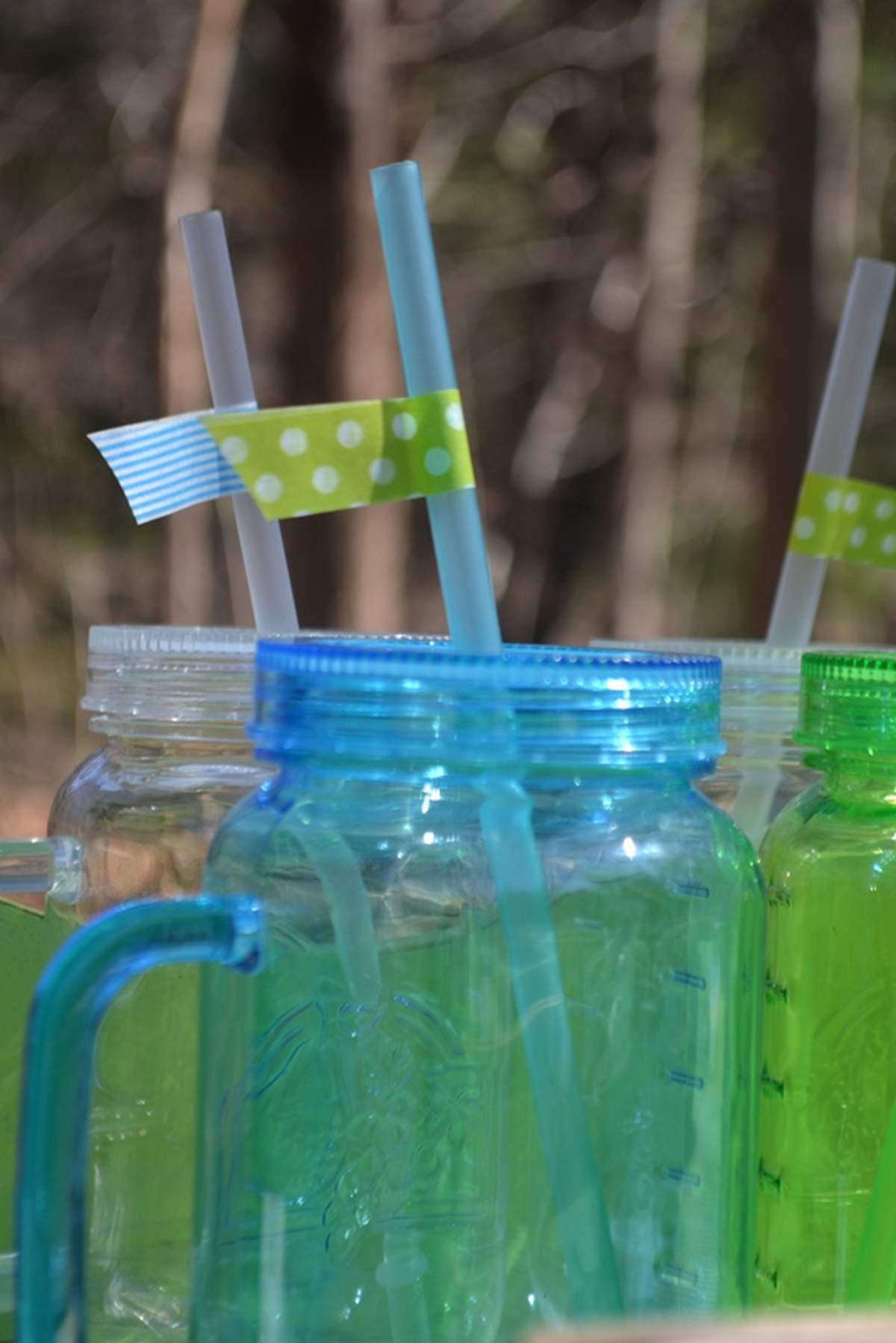 Earth Day Earth Day Party Ideas Photo 4 Of 15 Catch My Party earth-day-earth-day-party-ideas-photo-4-of-15-catch-my-party