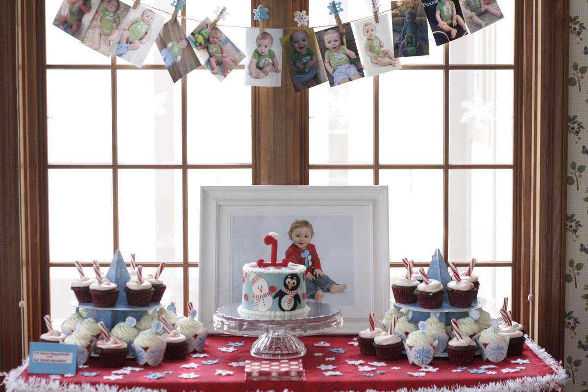 Paxton's 1st birthday-winter ONEderland - Winter ONEderland 
