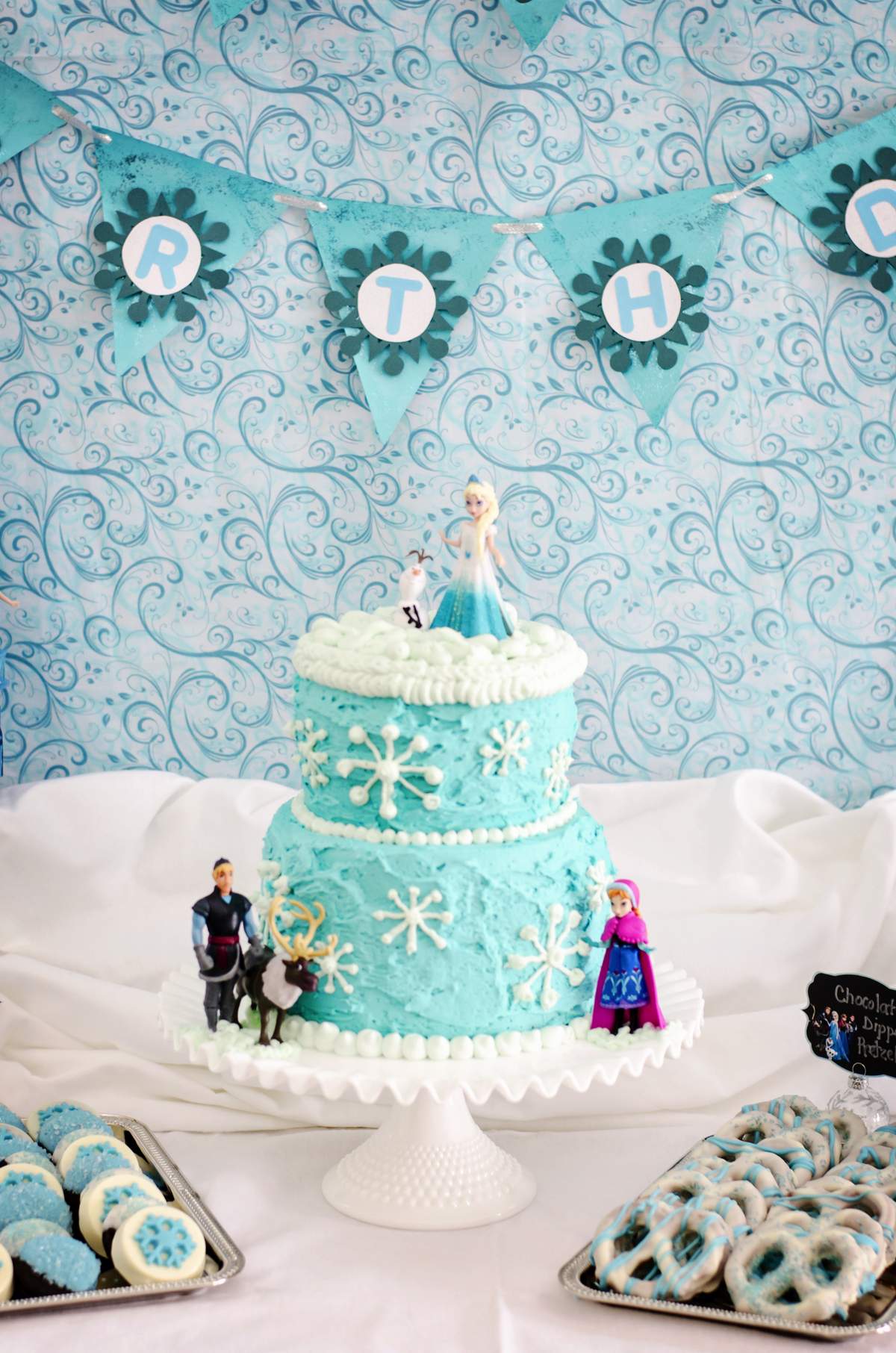 Meghan's 4th Birthday: Frozen - DISNEY'S FROZEN