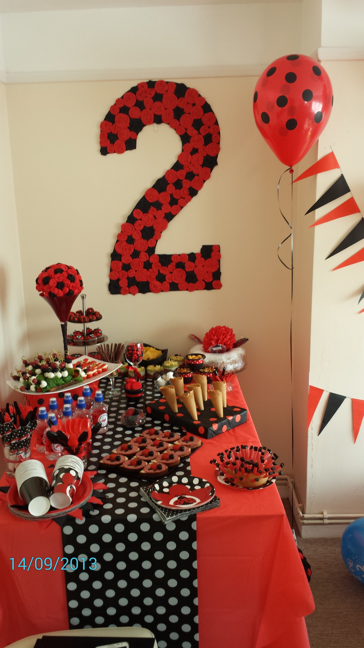 Urte's 2 birhday party - Ladybug Birthday Party